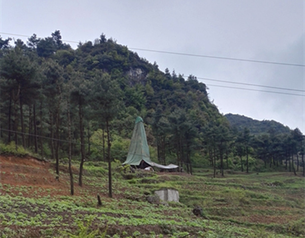 把脈“黔”鋅地，問診開良方