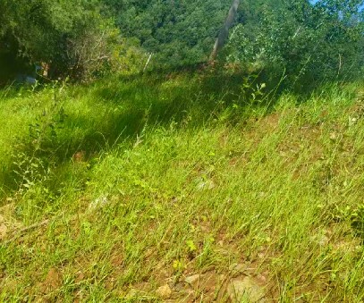 柳關(guān)欒盧鉛鋅礦|治理排土“瘡疤”，繪就綠色畫卷